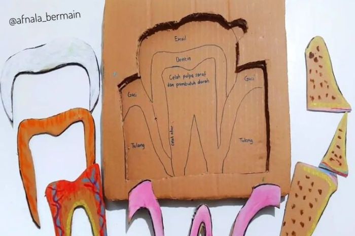 Diy mainan anak dari kardus