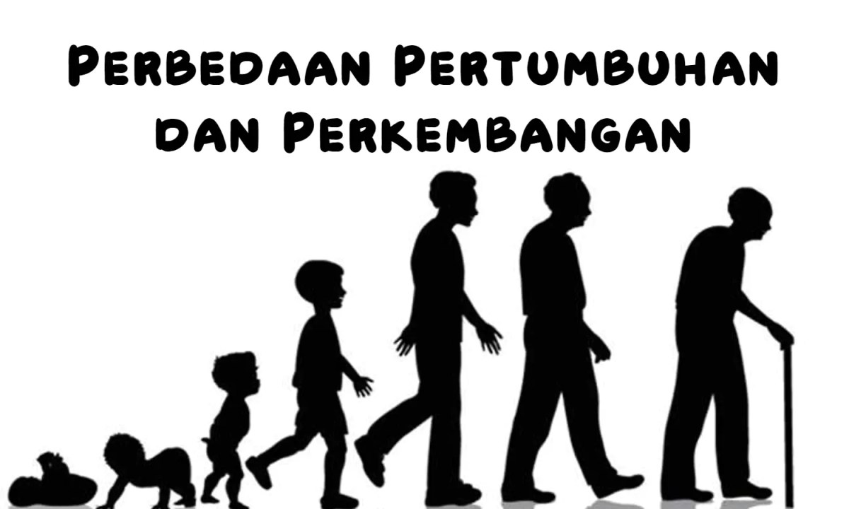 Perkembangan vegetatif terdiri menjadi dua macam yaitu