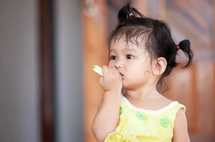 Resep Sehat Cemilan Anak 1 Tahun untuk Menambah Berat Badan