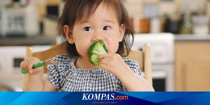 Kebutuhan gizi anak