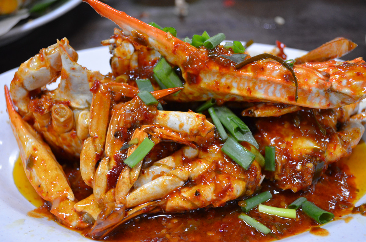 Makanan anak burung ruak ruak