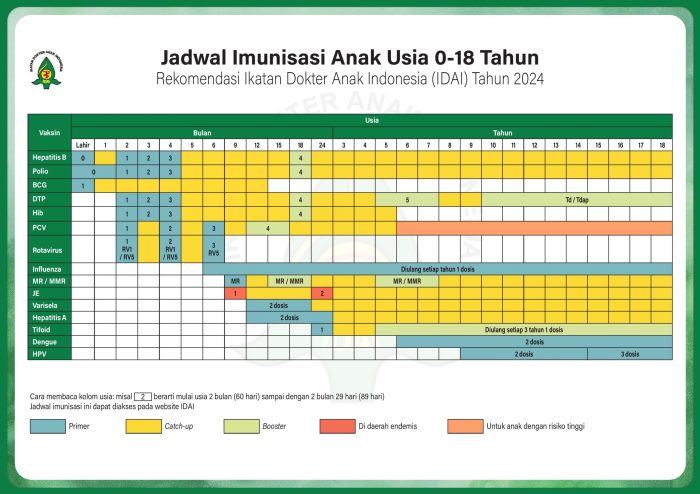 Jadwal Vaksinasi Anak IDAI Terbaru 2024 - imuni