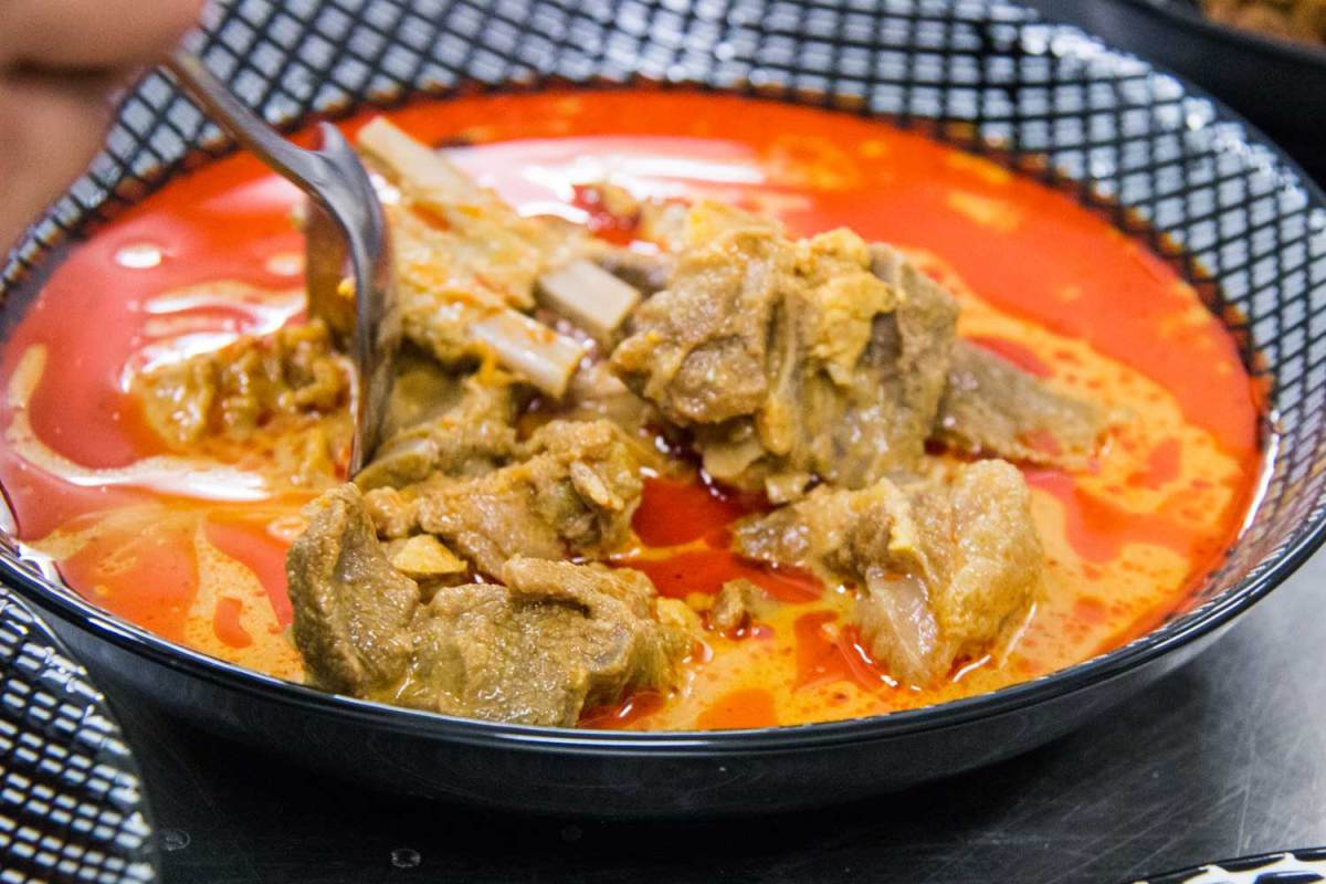 Makanan anak babi umur 2 minggu