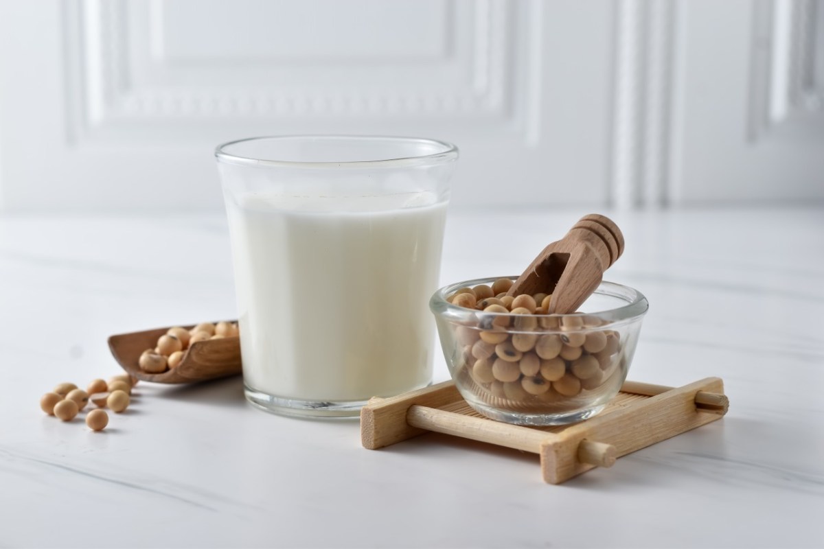 Susu Apa Yang Bagus Untuk Diet - Homecare24