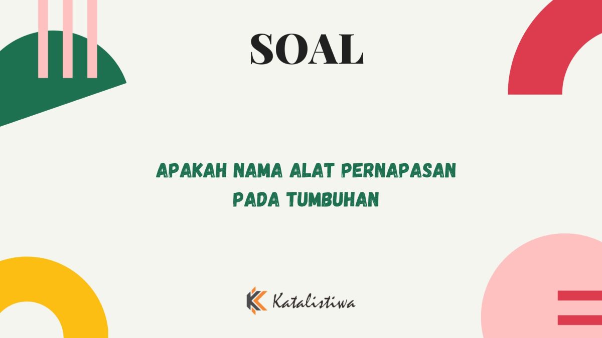 Alat pernapasan pada tumbuhan