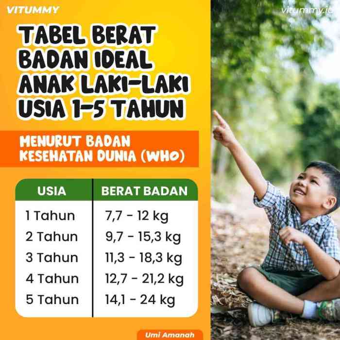 Usia berapa bayi boleh makan bubur nasi