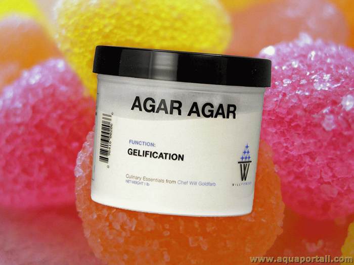 Agar : définition et explications