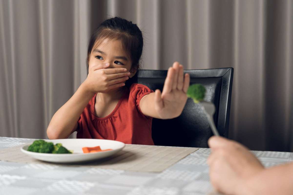 Cara Mengatasi Anak Susah Makan