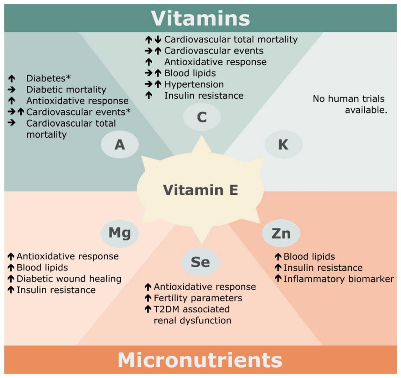 Foods with More Vitamin C than an Orange - MeowMeix