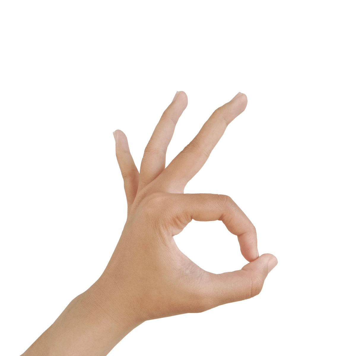 Ok Vector Art, Icons, and Graphics for Free Download