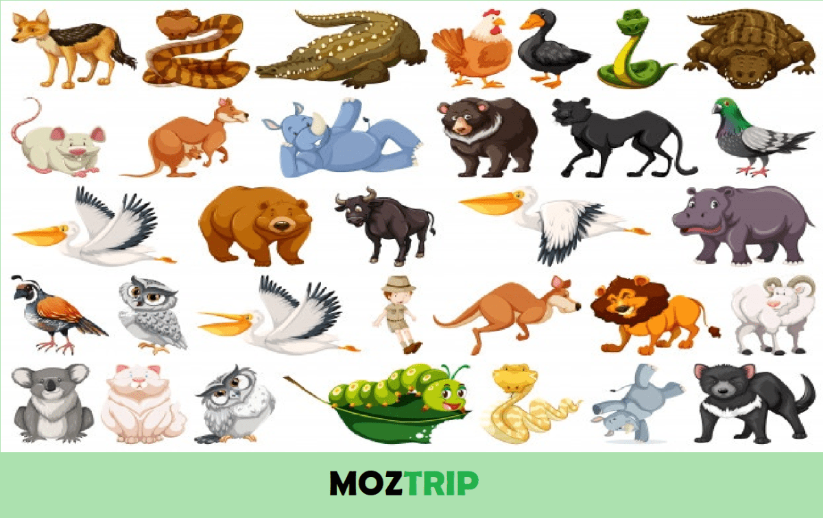 Karakteristik fauna oriental adalah