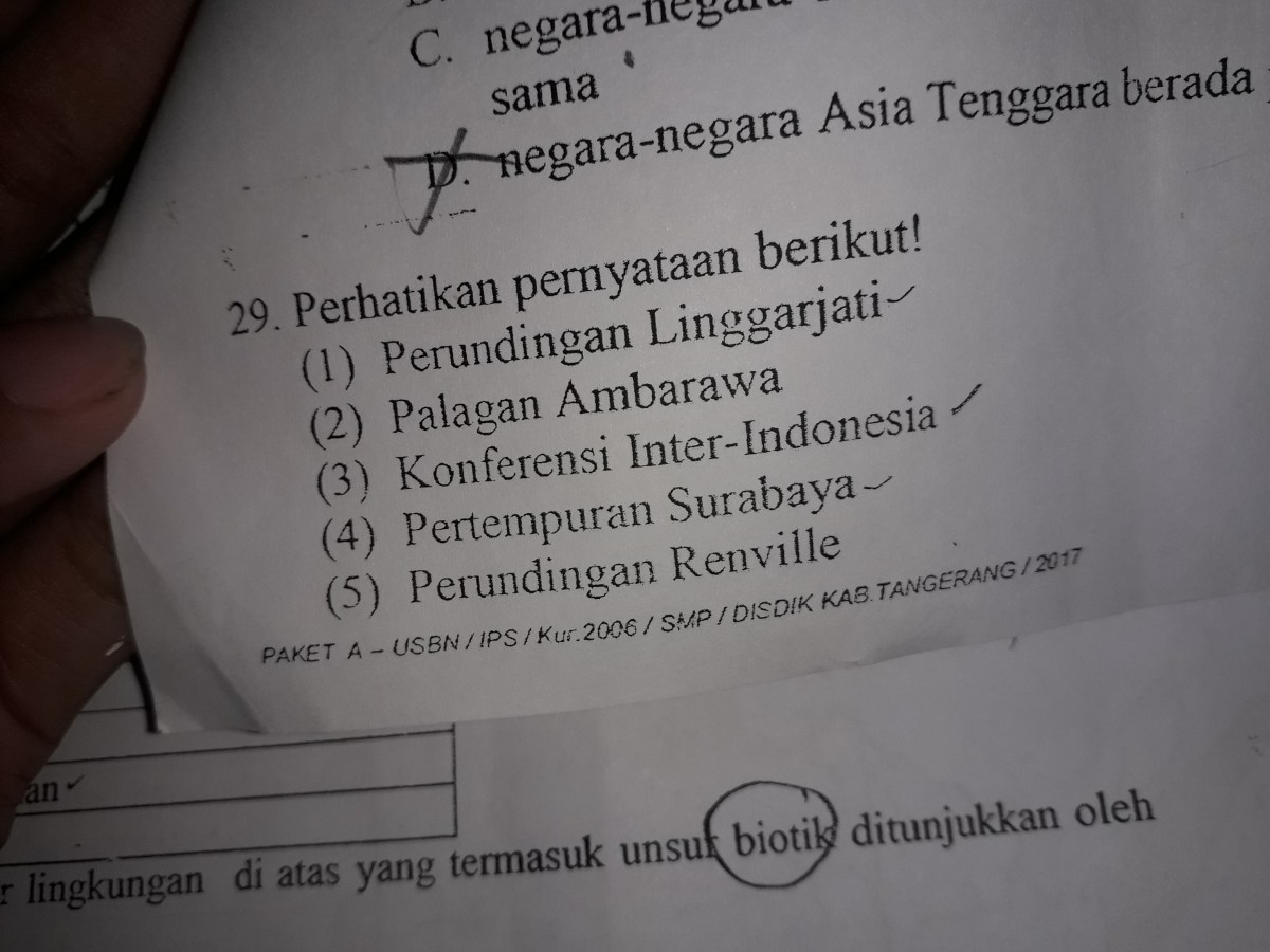 Perjuangan diplomatik adalah