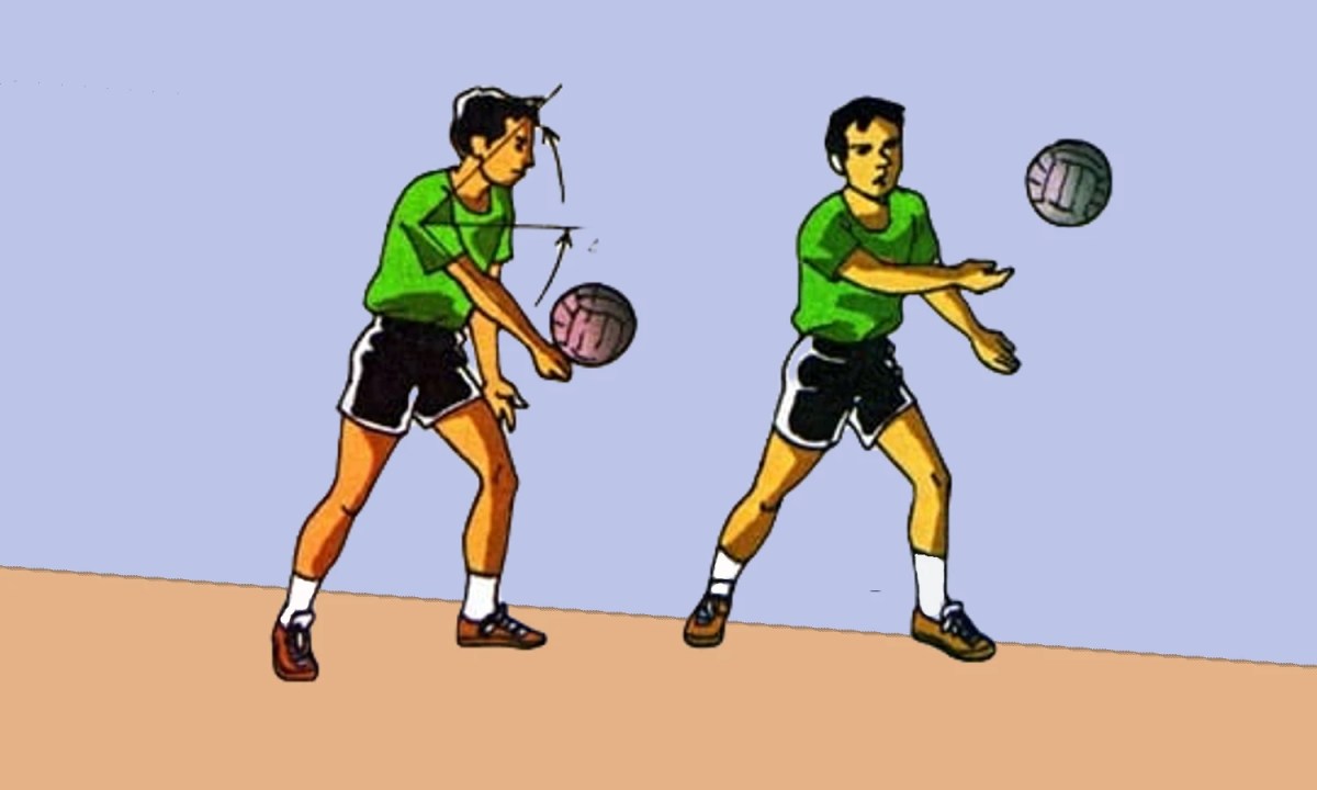 Servis dalam permainan bola voli dilakukan di daerah