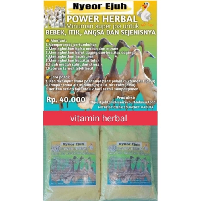 Tips Memberi Makan Anak yang Benar | Republika Online