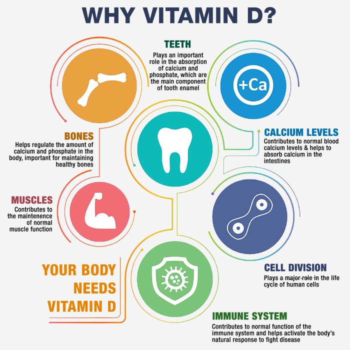 Vitamins E And C Are Safe Across A Broad Range Of Intakes at Jerome ...