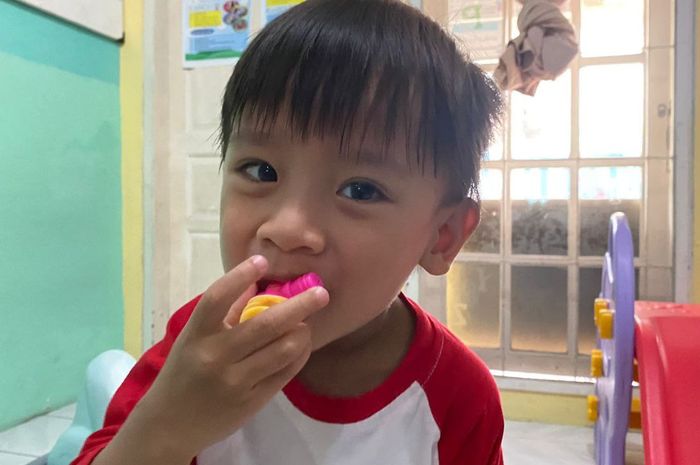 Cara agar anak mau makan