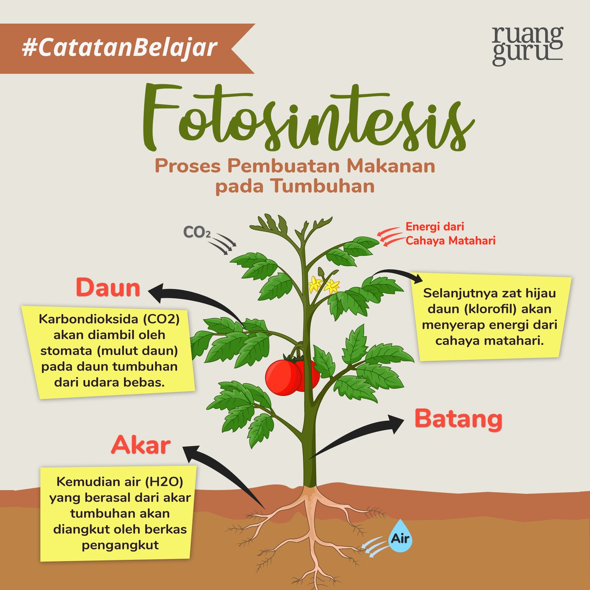 Hasil dari proses fotosintesis pada tumbuhan adalah
