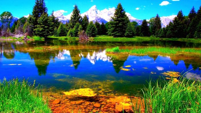 700.000+ Foto Gambar Langit Terbaik · Unduh Gratis 100% · Foto Stok Pexels