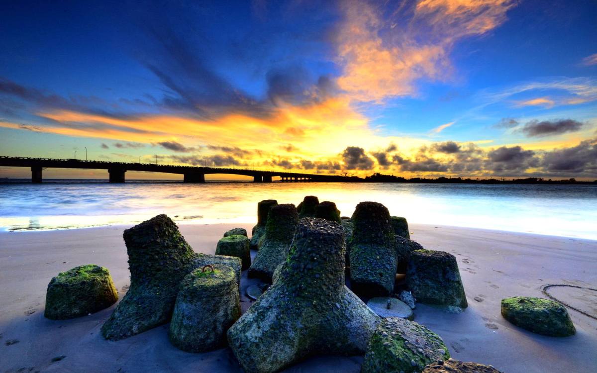 Gambar burung untuk anak tk