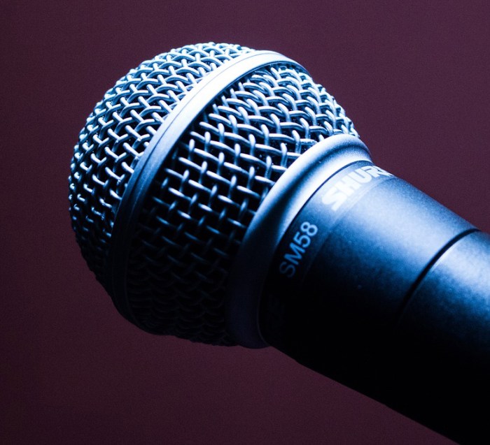 Mic mainan anak laki laki