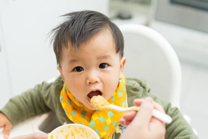 Mpasi bayi 8 bulan menurut who