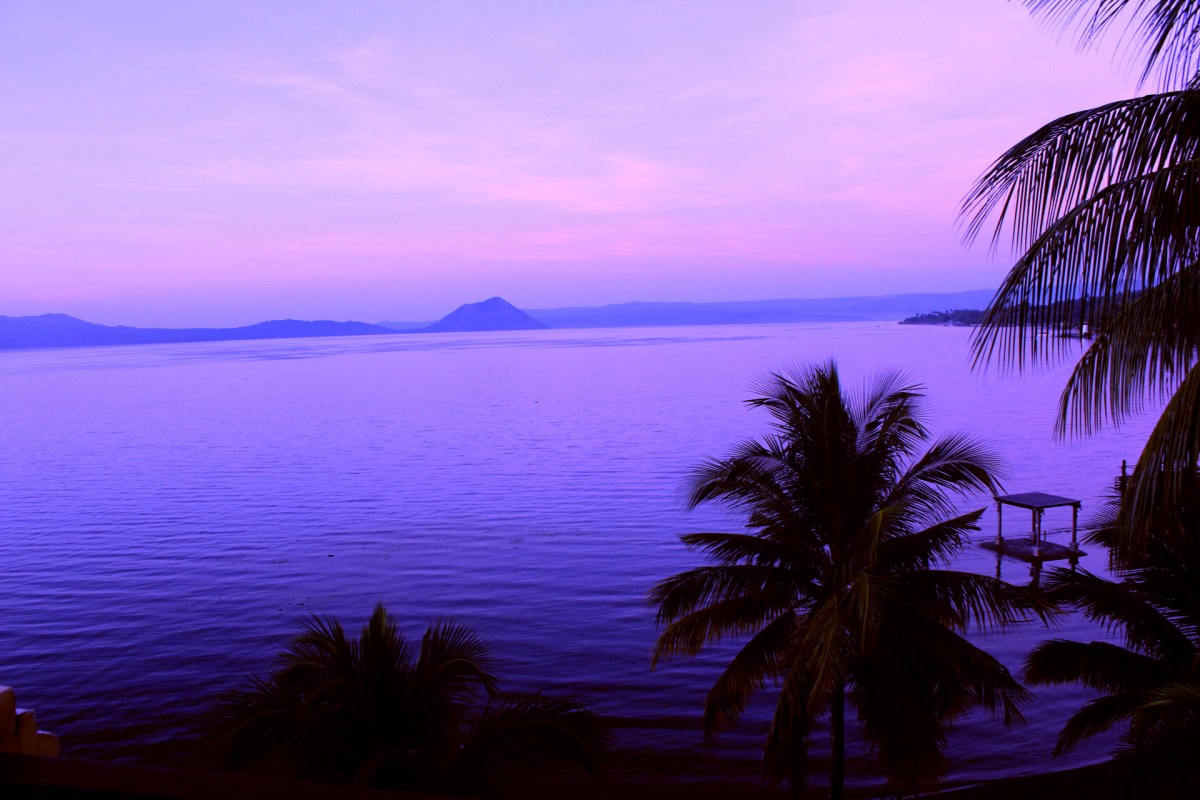 Nature Background 8 Free Stock Photo - Public Domain Pictures