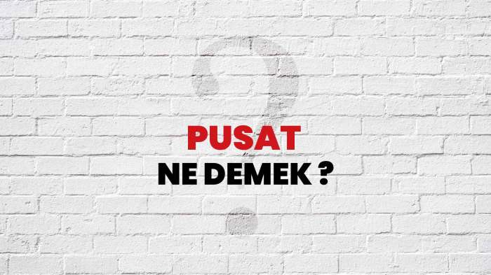 Pusat Ne Demek, Ne Anlama Gelir? Pusat Kelimesi TDK Sözlük Anlamı Nedir ...