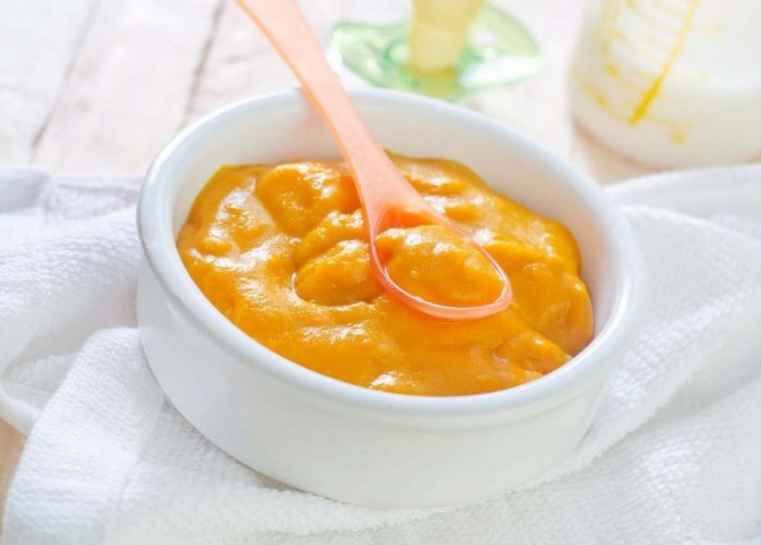 Resep mpasi 2 tahun