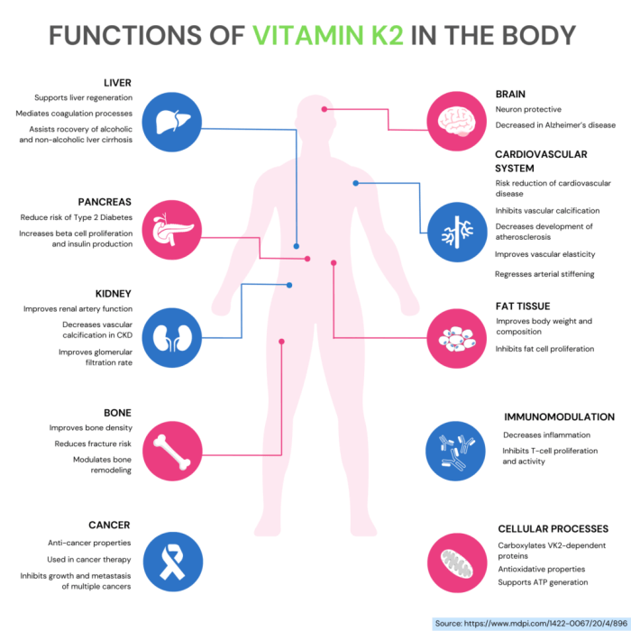 Vitamin agar otak anak cerdas